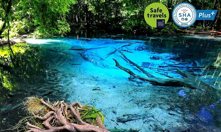 Jungle Tour to Emerald Pool, Krabi Hot Spring and Tiger Cave Temple