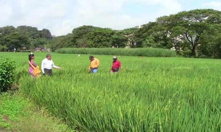 A Day in the Countryside Around Mumbai with Lunch