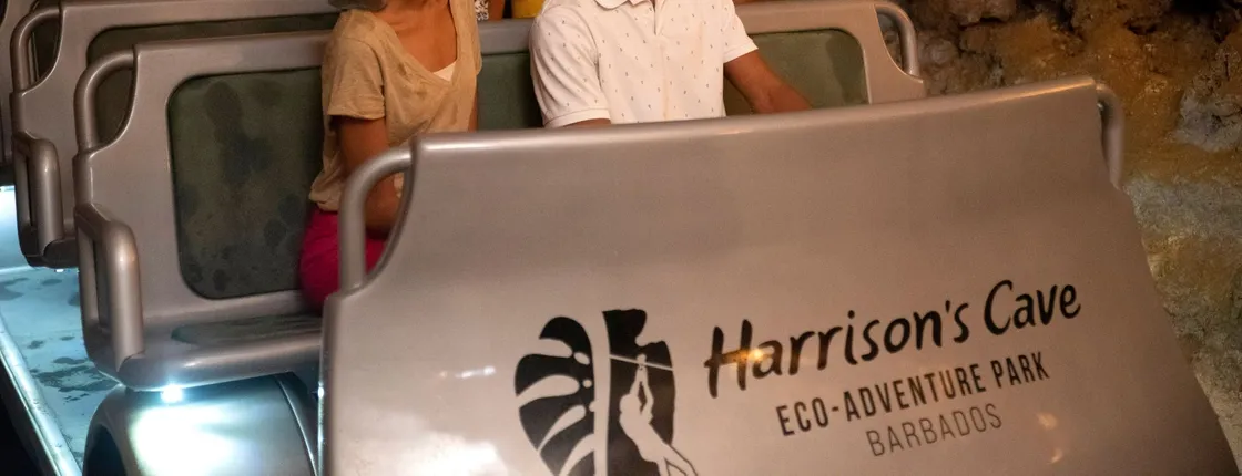 Harrison's Cave tram tour and guided nature hike