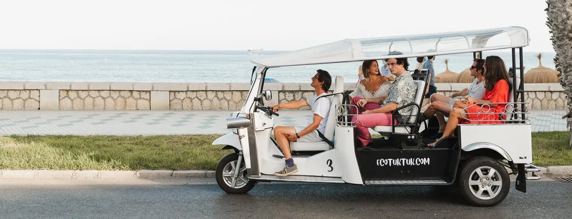 2-hour expert tour of Malaga in a private electric tuk-tuk