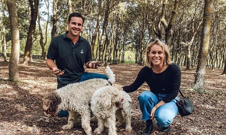 Experience Tuscan Truffle Hunting with Wine and Lunch