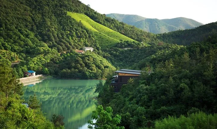 Private Transfer to Mogan Mountian from Hangzhou