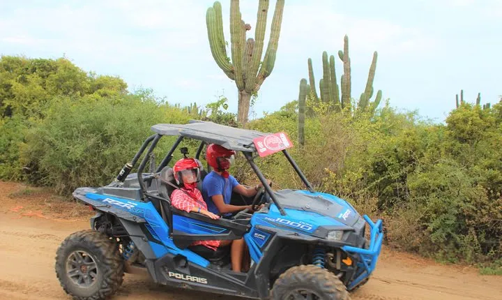 Cabo Wild Desert Tour, Polaris ATV or Razor Single, Double, Triple or Quad!