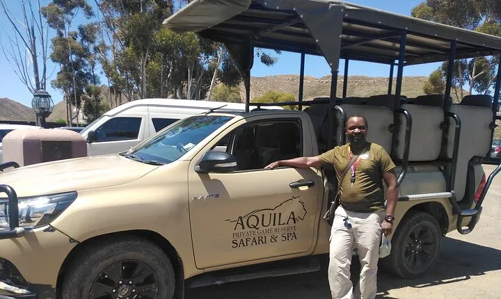 Aquila Big Five Safari Near Cape Town(with optional wine testing)