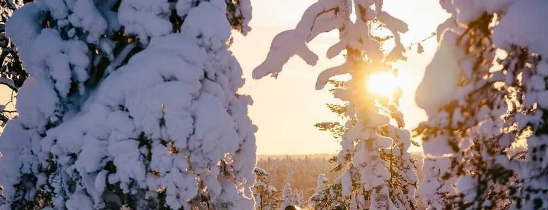 Snowmobiles and huskies in Lapland