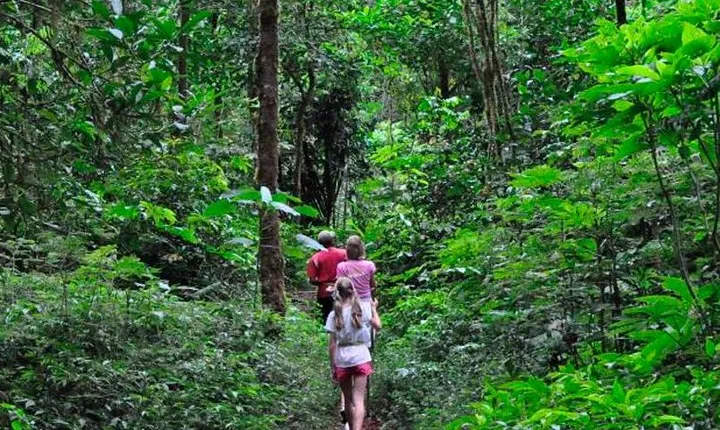 Sinharaja Trekking Day Trip - Private & All Inclusive