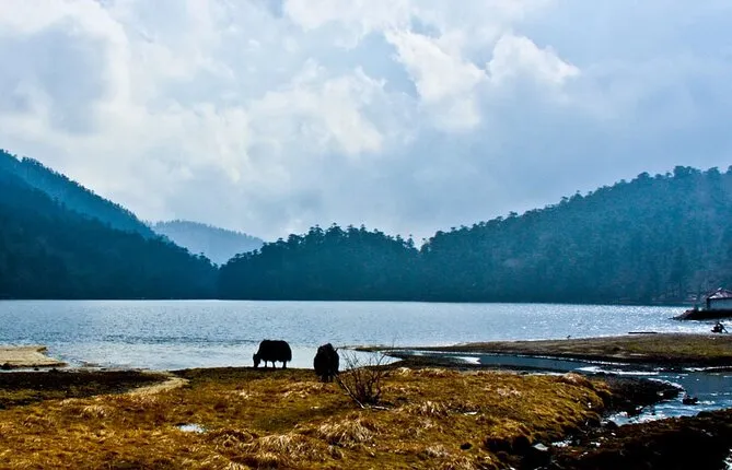 Magical Valley Old Silk Route Of Sikkim