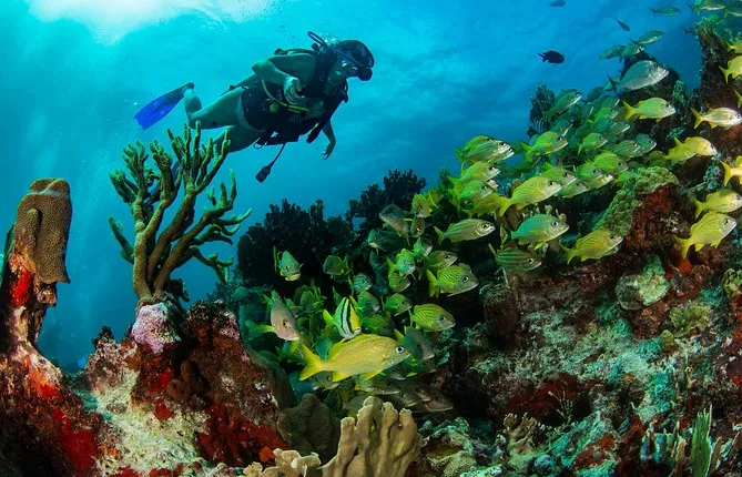 Aquaworld's Discover Scuba in Cancún, Mexico