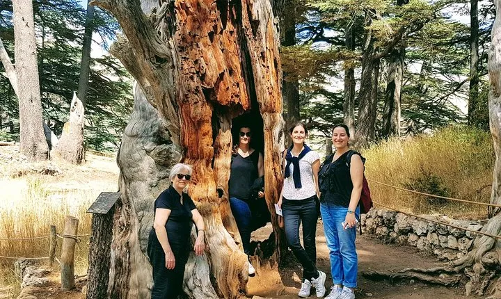 Small-Group Tour with Lunch to Qadisha Valley, Bcharre and Cedars