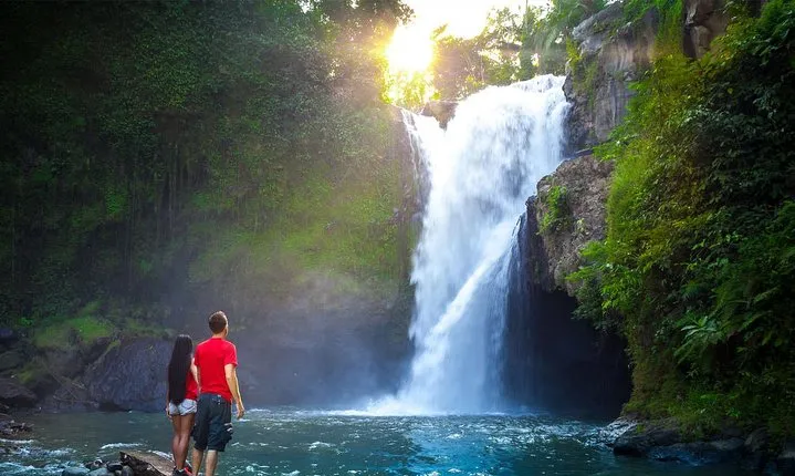 Ubud Experience