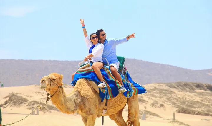 Camel riding experience on the shores of the Pacific Ocean