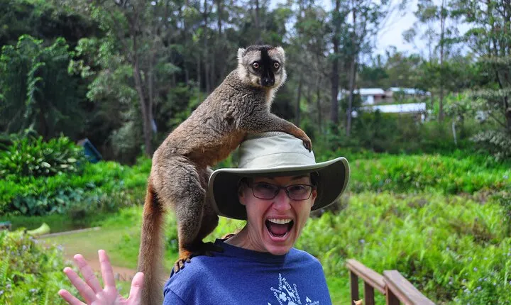 3-Day Private Tour to Andasibe National Park