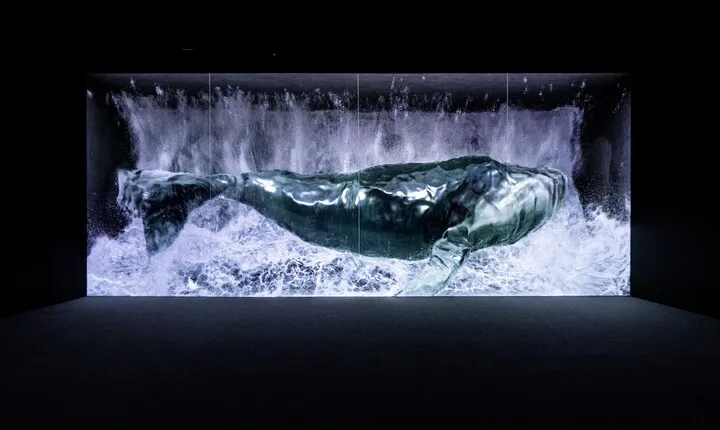 Ticket for ARTE Museum Las Vegas