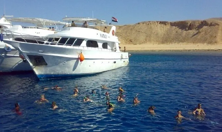 Tiran Island snorkeling trip, Lunch & Transfer - Sharm El sheikh