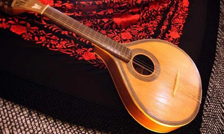 For small group in Lisbon with fado and dinner show
