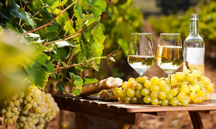 Provencal Market and Wine Tasting Full Day Shared Tour from Nice