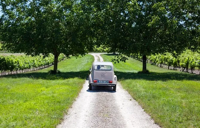 2CV ride in the Cognac vineyards