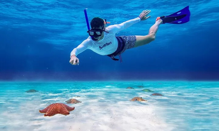 Cozumel Starfish and Tropical Reef Snorkeling by Powerboat with Lunch
