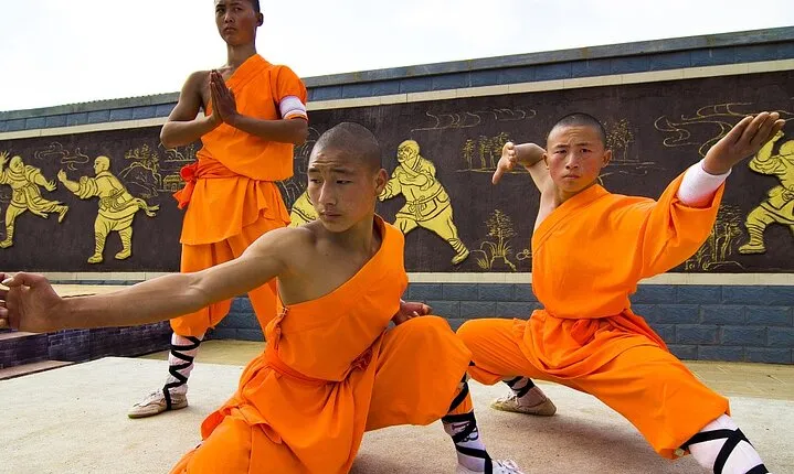 Flexible Luoyang Private Day Tour of Shaolin Temple and more