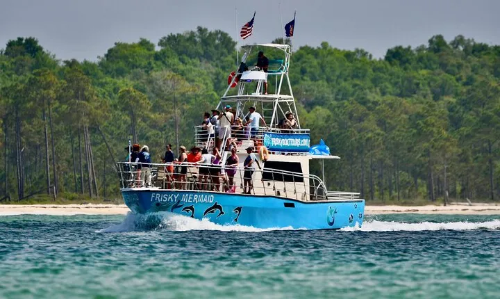 Frisky Mermaid Public Dolphin + Sightseeing Cruise Up to 49 Pax