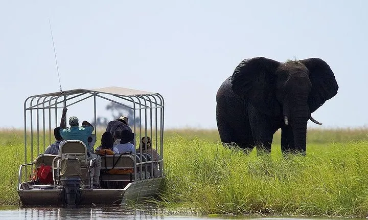 Chobe National Park Safari Full Day-trip