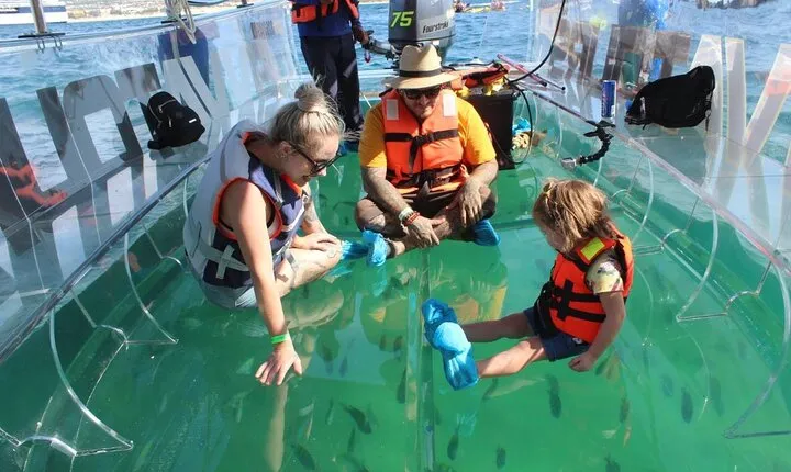 Clear Boat Ride with City Tour in Los Cabos