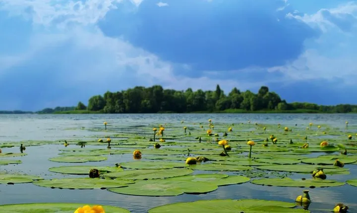 Classic Hangzhou Two-Day Tour with A Depth-Explore to Xixi Wetland Park