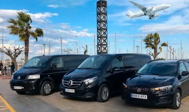 Malaga Airport (AGP) to Marbella - Round-Trip Private Transfer