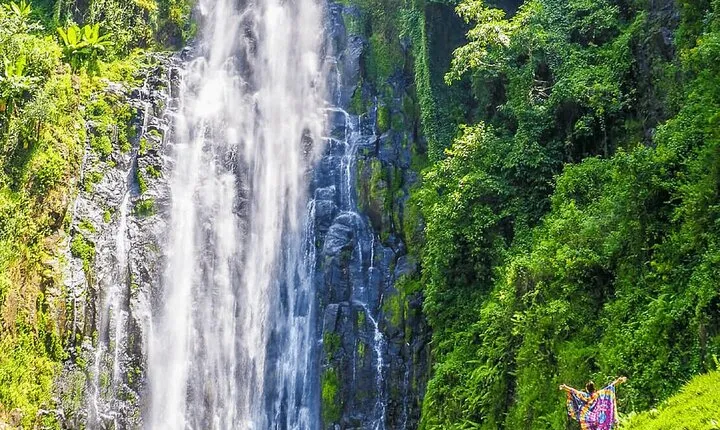 7 Day: Wildlife Adventure Plus Materuni Waterfalls