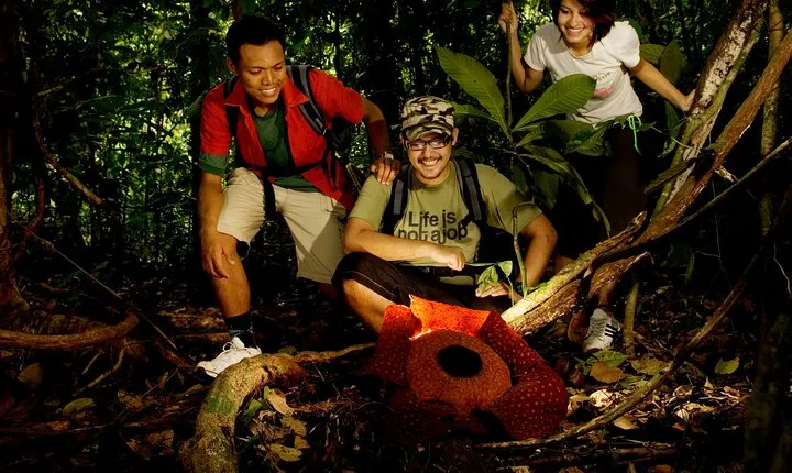 Taman Negara: 2 Days Small Group Tour Visit to Kuala Lumpur