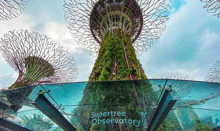 Garden By Bay Cloud Forest, Flower Dome & Supertree Observatory
