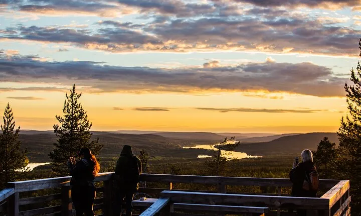 Rovaniemi: Insider Summer Bird Watching Experience
