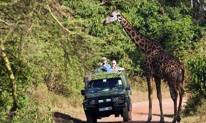 2 Days Tarangire & Ngorongoro Budget Mid-range Camping Safari Tour Tanzania