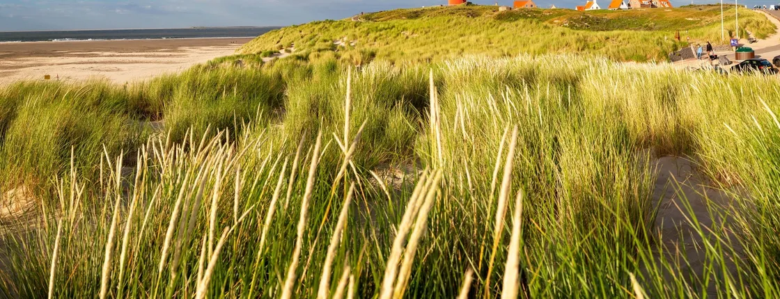 Day trip to the Island of Texel with a guide