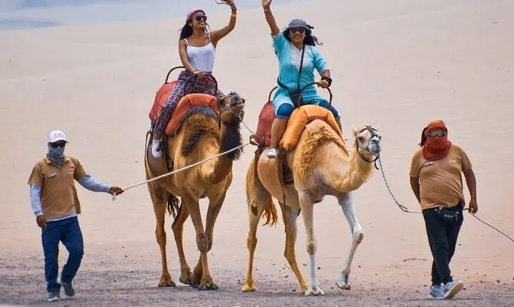 Ica: Camel Ride Desert Experience near Huacachina
