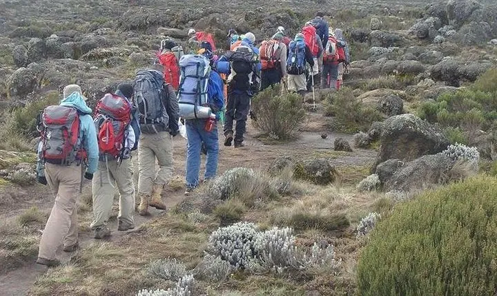 Kilimanjaro National Park Day Trip