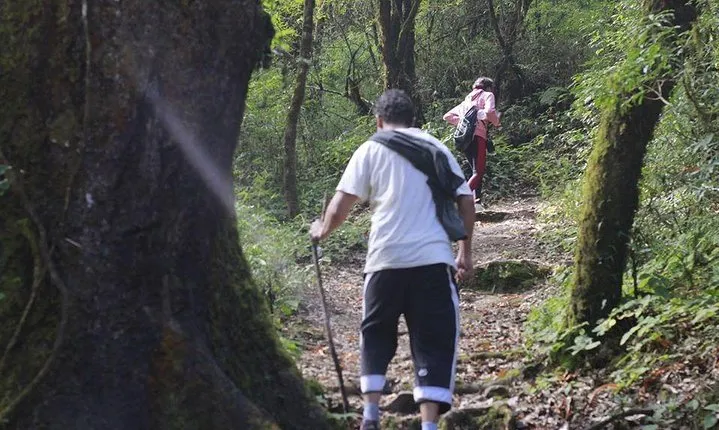 Shivapuri Day Hiking