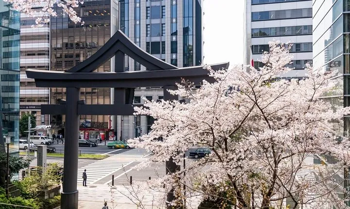 Private Tour in Tokyo with Local Guide