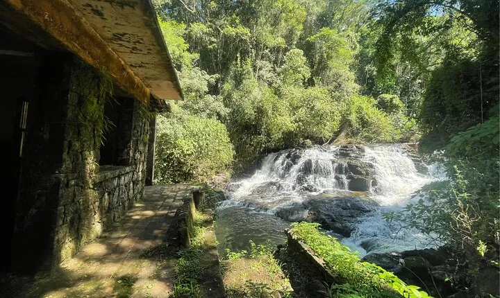 Explore Trails in the Atlantic Forest at the Brazilian Falls