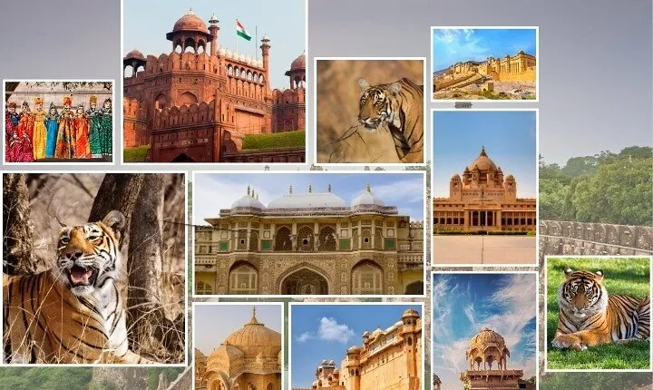 India Forts & Palaces With Tigers Rajasthan Tour - 17 Days