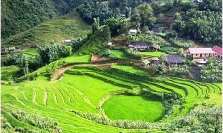 Full-Day Biking Adventure in Sapa