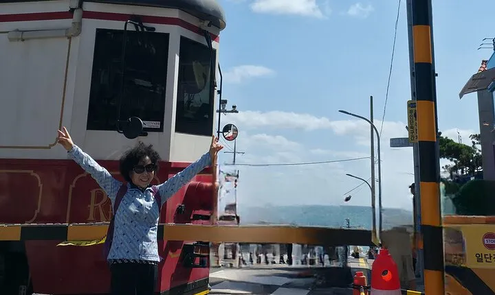 The Busan Forest and Coastal Private Tour