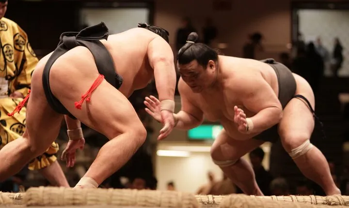 Sumo Wrestling Tournament A-Class Seats & ExpertGuide | Tokyo SEP