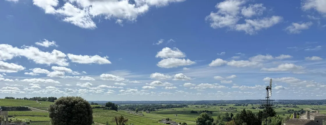 Saint-Émilion vineyards and medieval heritage small-group e-bike tour