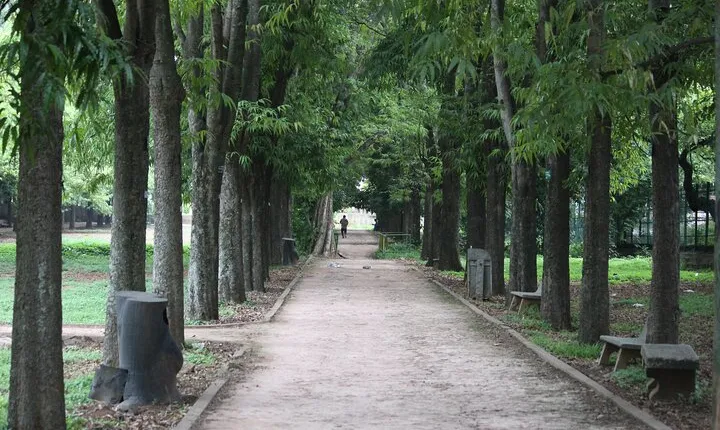 Cubbon Park Heritage Walk: A self-guided tour of Bangalore's unique history