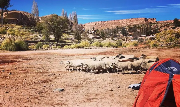 Altiplanicos Towns Tour