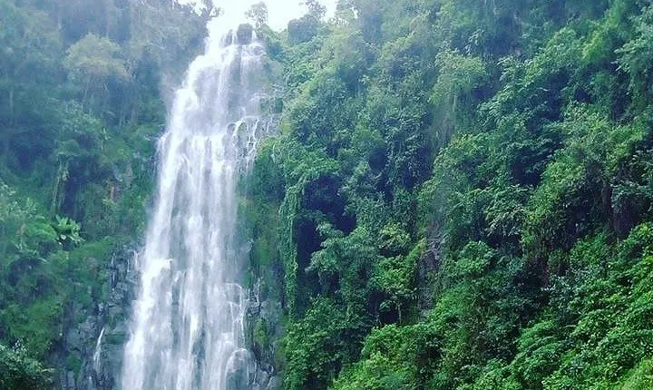 Experience Marangu - Kilimanjaro