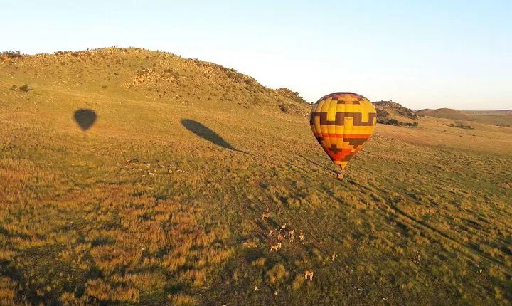 Exclusive Safari Flight