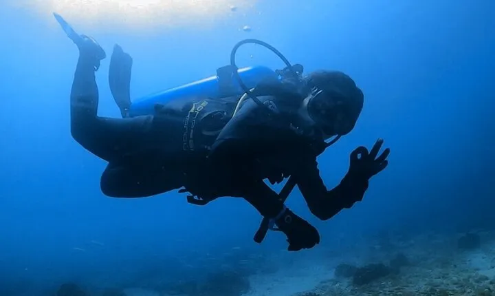 Full Day Diving in Cerralvo Island with or without Experience