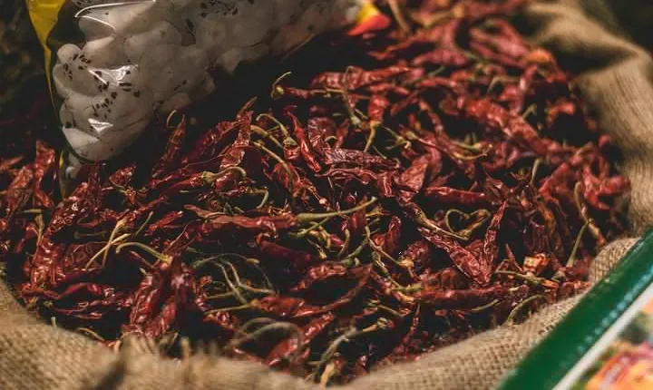 Spice Market & Old Delhi Highlights: Guided 3-Hour Tour